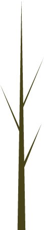 Branch