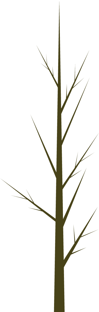 Branch
