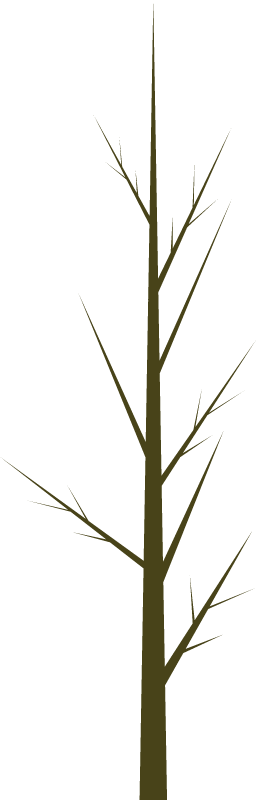 Branch