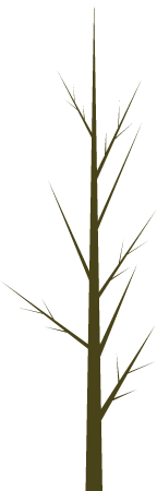 Branch