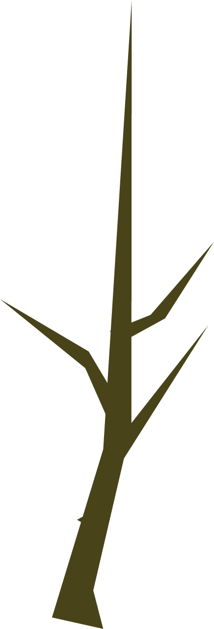 Branch