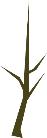 Branch