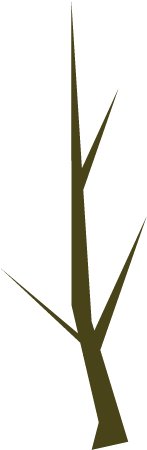 Branch