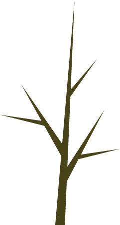 Branch