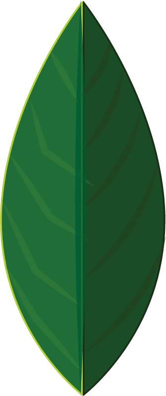 Leaf
