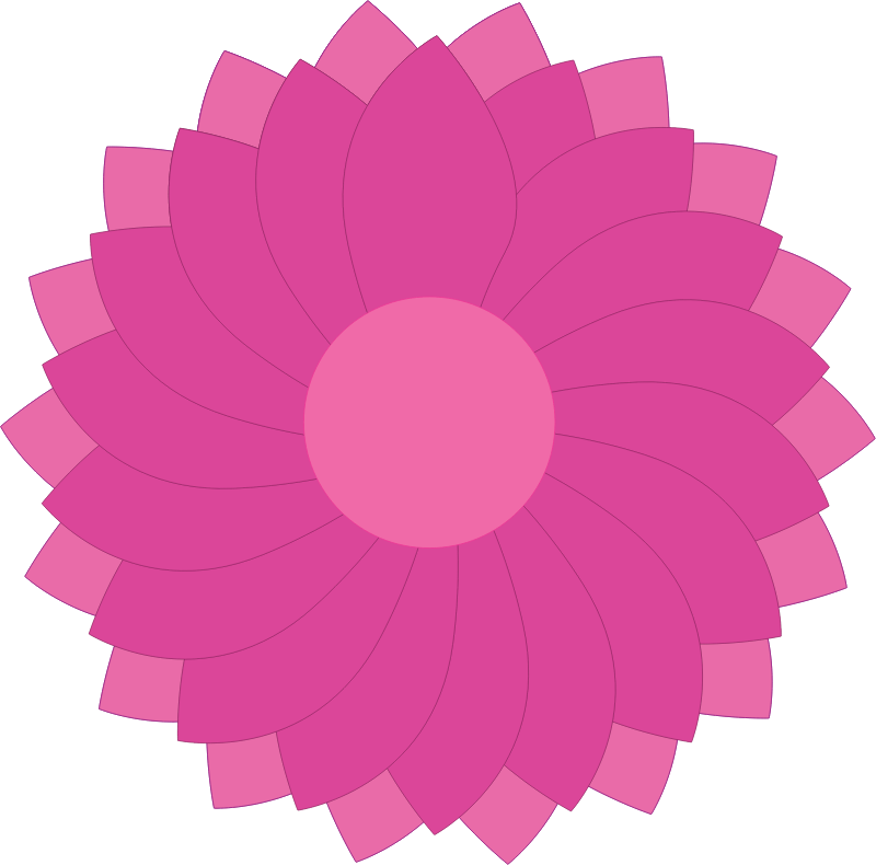 Pink Flower