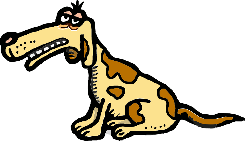 Dopey Looking Dog