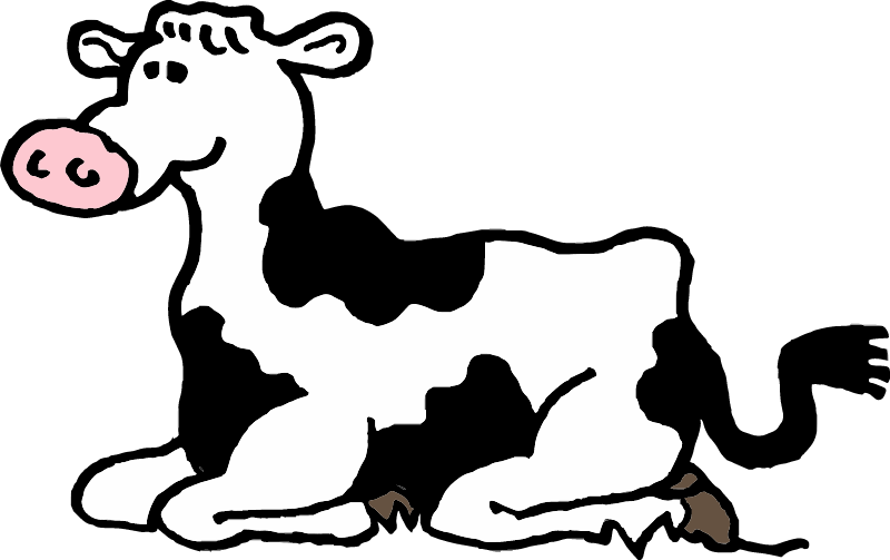 Friesian Cow Lying Down