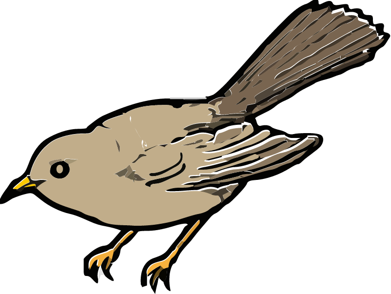 Brown Bird