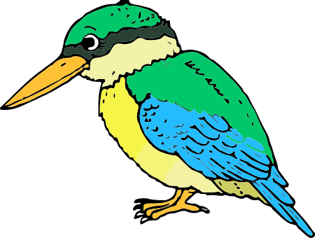 Kingfisher Bird