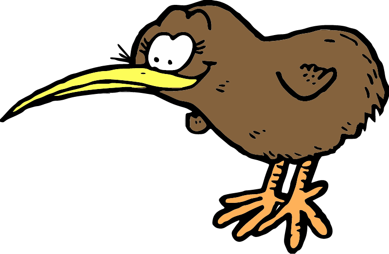 Brown Kiwi Bird