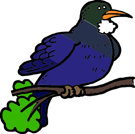 New Zealand Tui Bird Cartoon