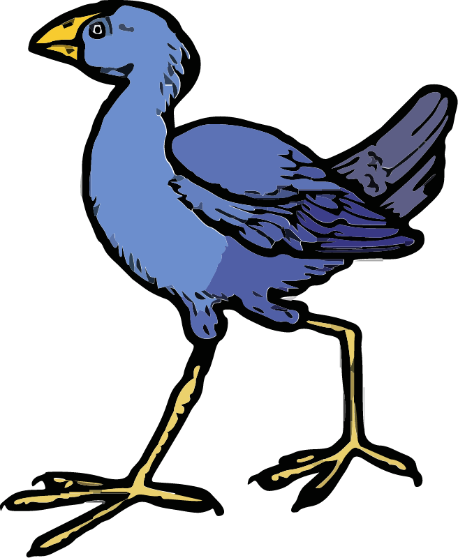 Pukaka Bird - New Zealand