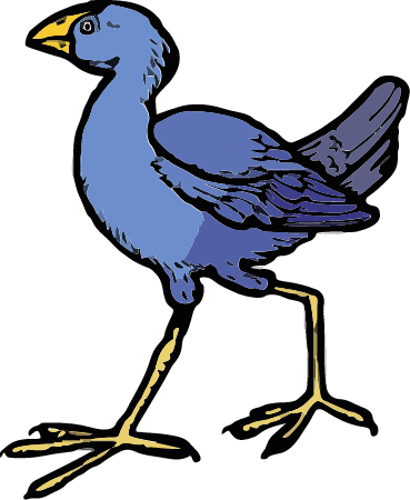 Pukaka Bird - New Zealand