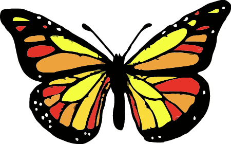 Monarch Butterfly