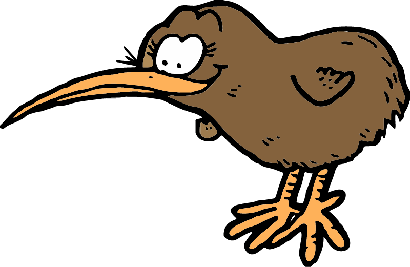 Kiwi Bird - New Zealand Icon