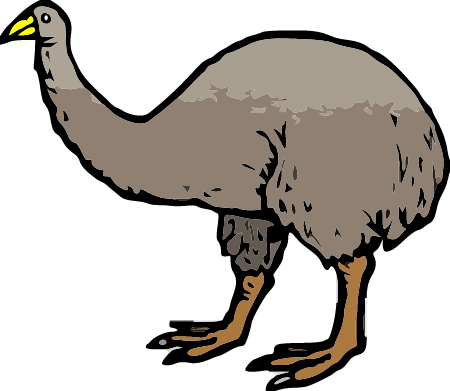 Extinct Moa Bird – NZ