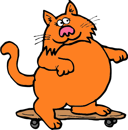 Fat Cat on Skateboard