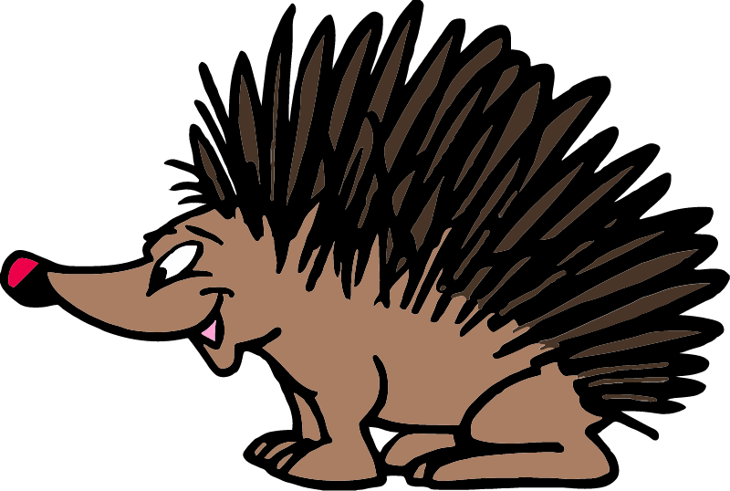 Brown Hedgehog
