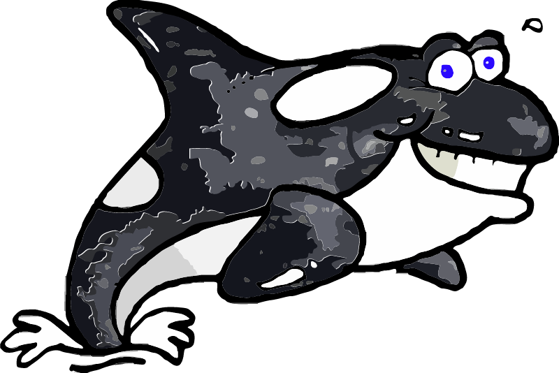 Orca Whale