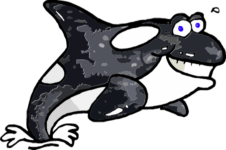 Orca Whale