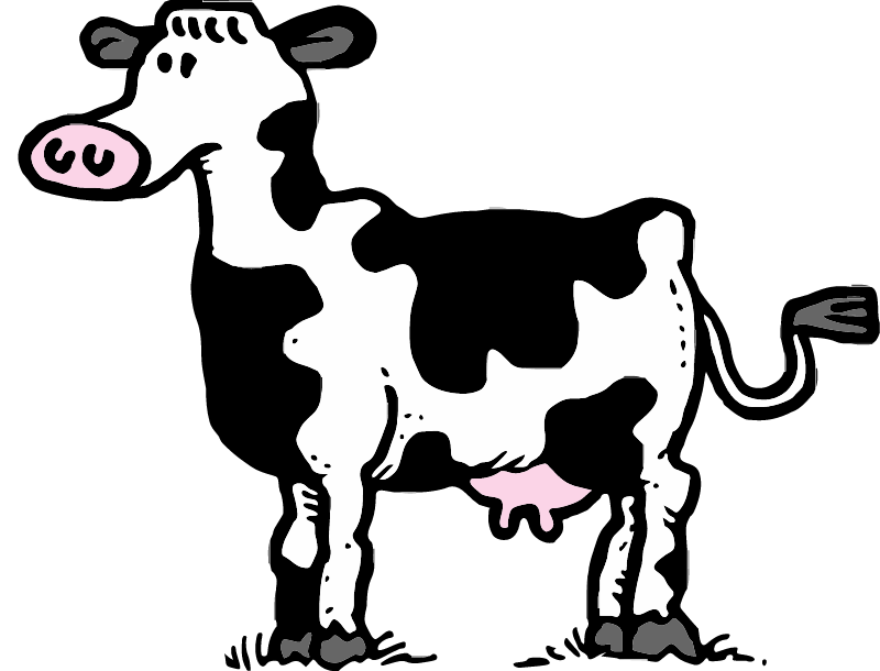 Friesian Cow Standing