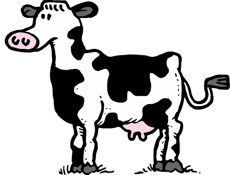 Friesian Cow Standing