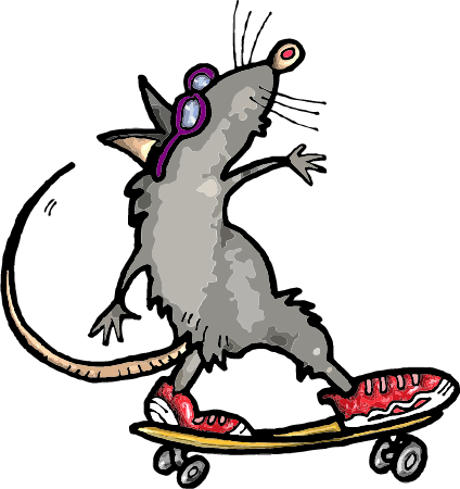 Rat on a Skateboard