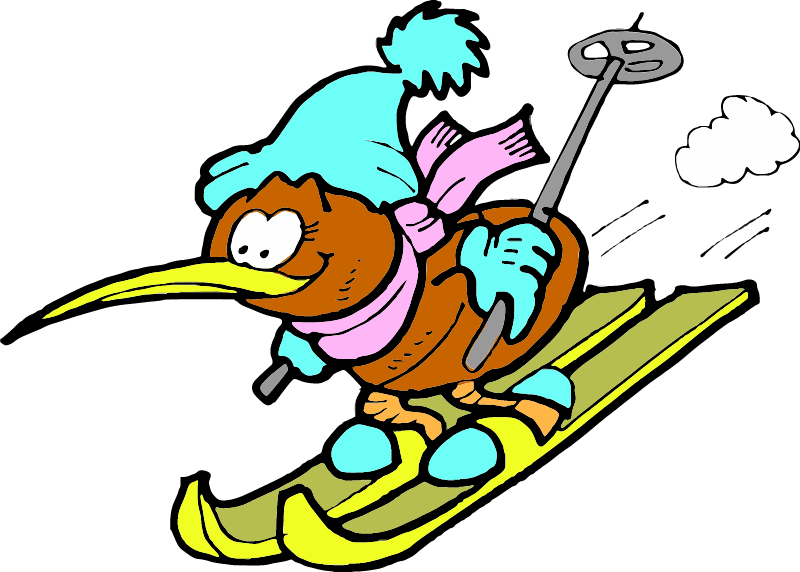 Kiwi Bird Skiing