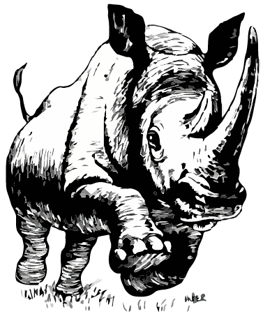 Rhino - Line Drawing