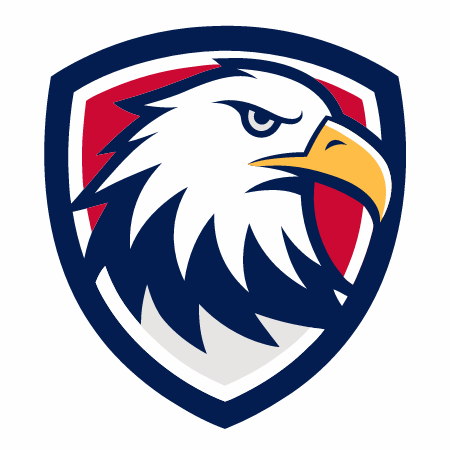 American star badge vector illustration