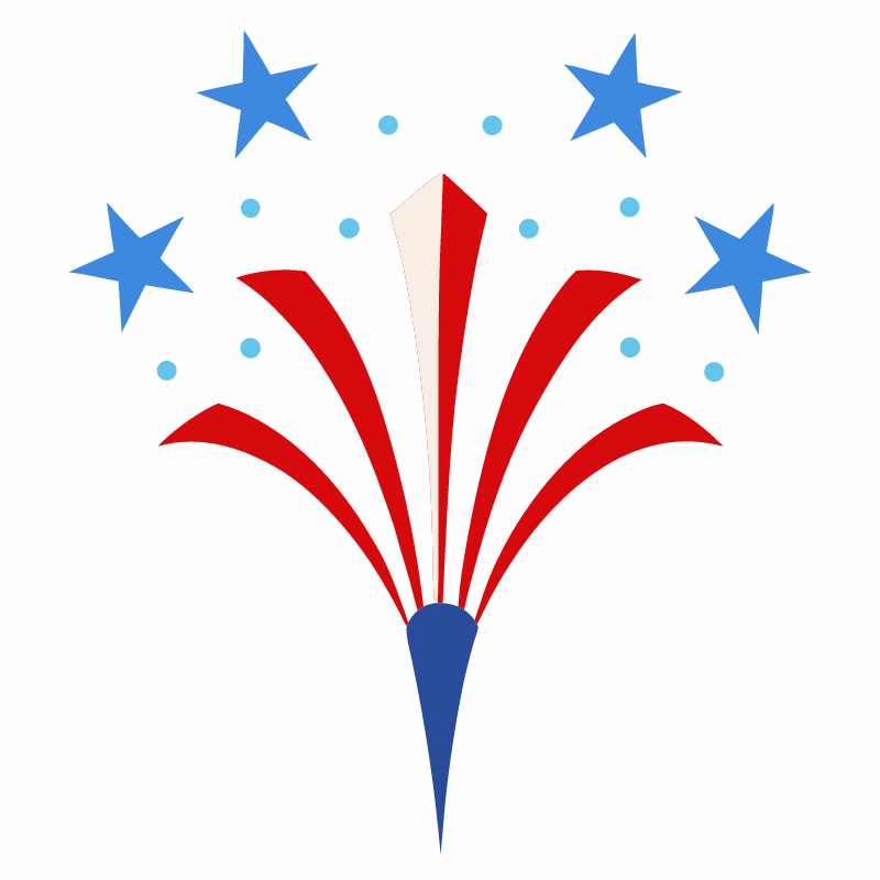 fireworks sparkle vector illustration