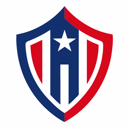 patriotic shield vector illustration