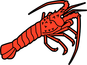 Japanese spiny lobster