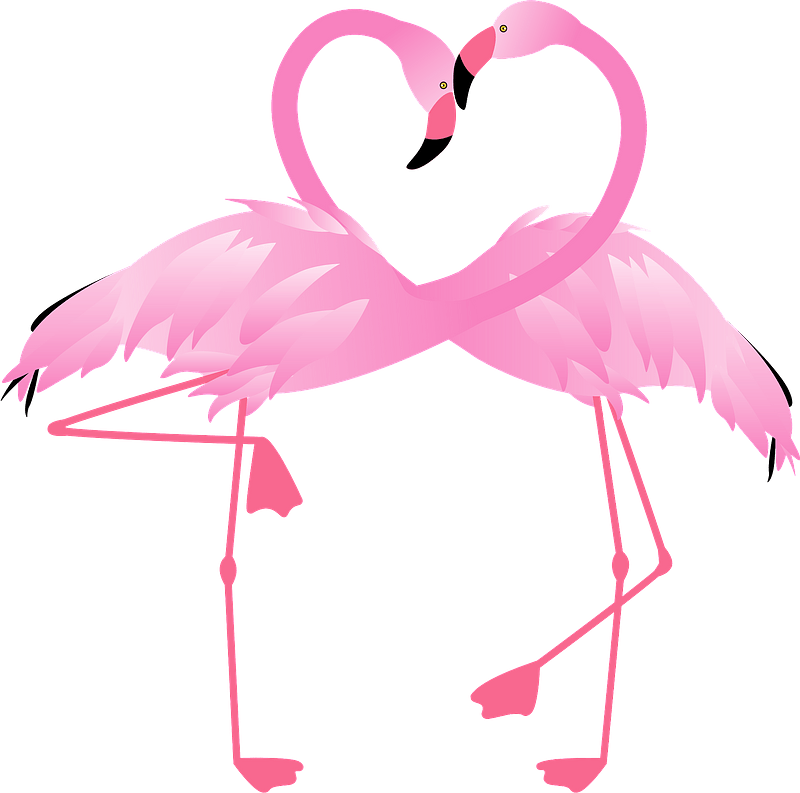 Flamingo head and necks forming a heart