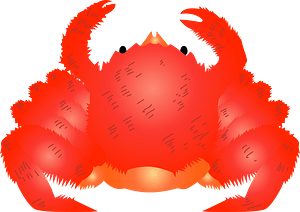 Horsehair crab