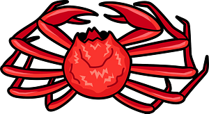 Snow crab
