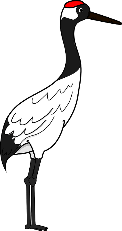 Red-crowned crane
