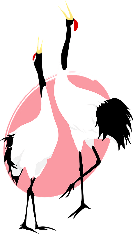 Red-crowned cranes
