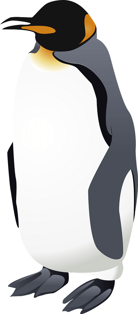 Emperor penguin