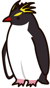 Southern rockhopper penguin