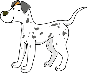 Dalmation