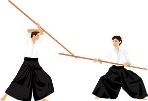武道