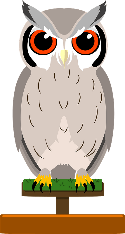 Northern white faced owl - Free vector clipart images on creazilla.com