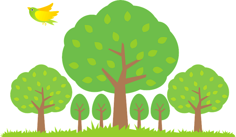 Trees in a forest