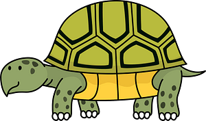Turtle