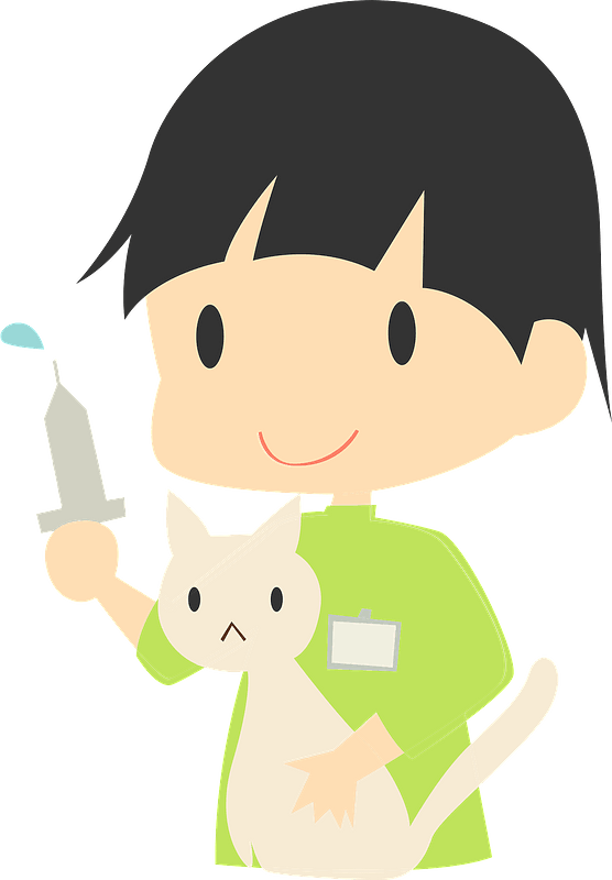 Veterinarian seeing a cat