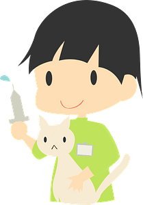 Veterinarian seeing a cat