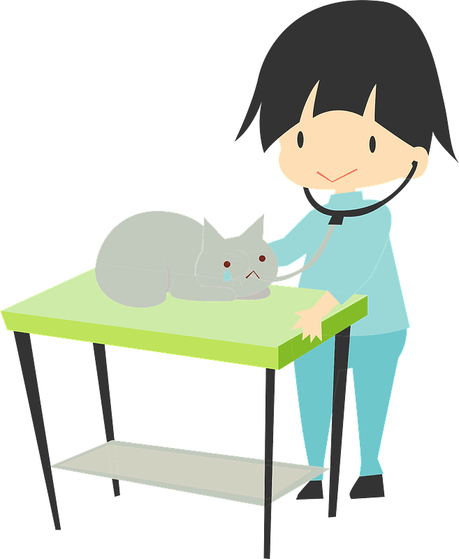 Veterinarian seeing a cat
