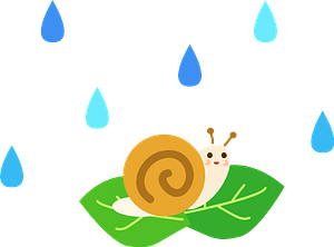 Snail on a leaf in the rain